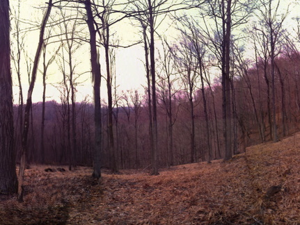 Sheltowee Trace Moonrise